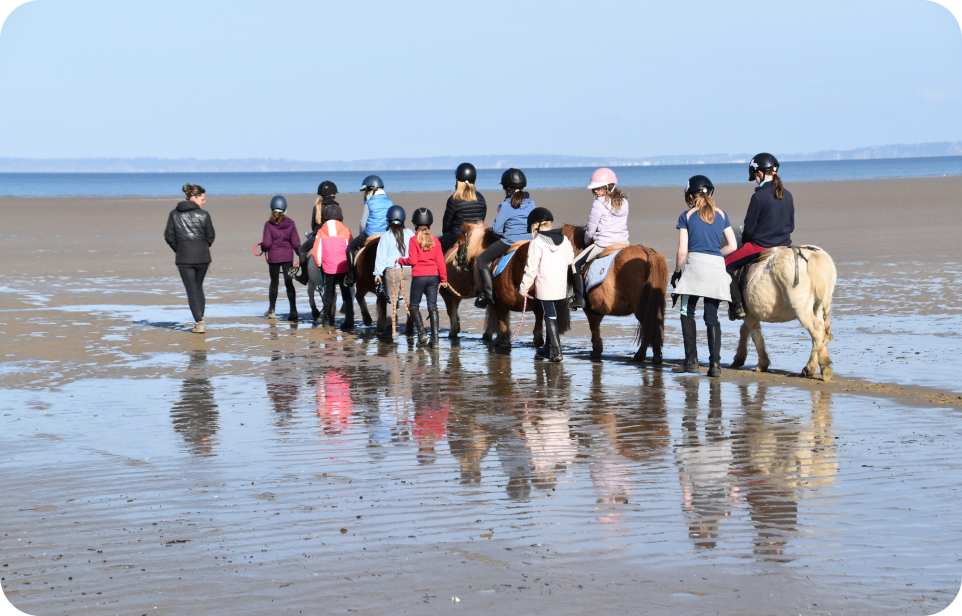 Lorem ipsum dolor sit amet