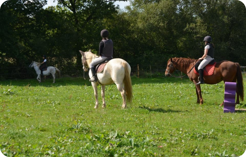 Lorem ipsum dolor sit amet consectetur adipiscing elit